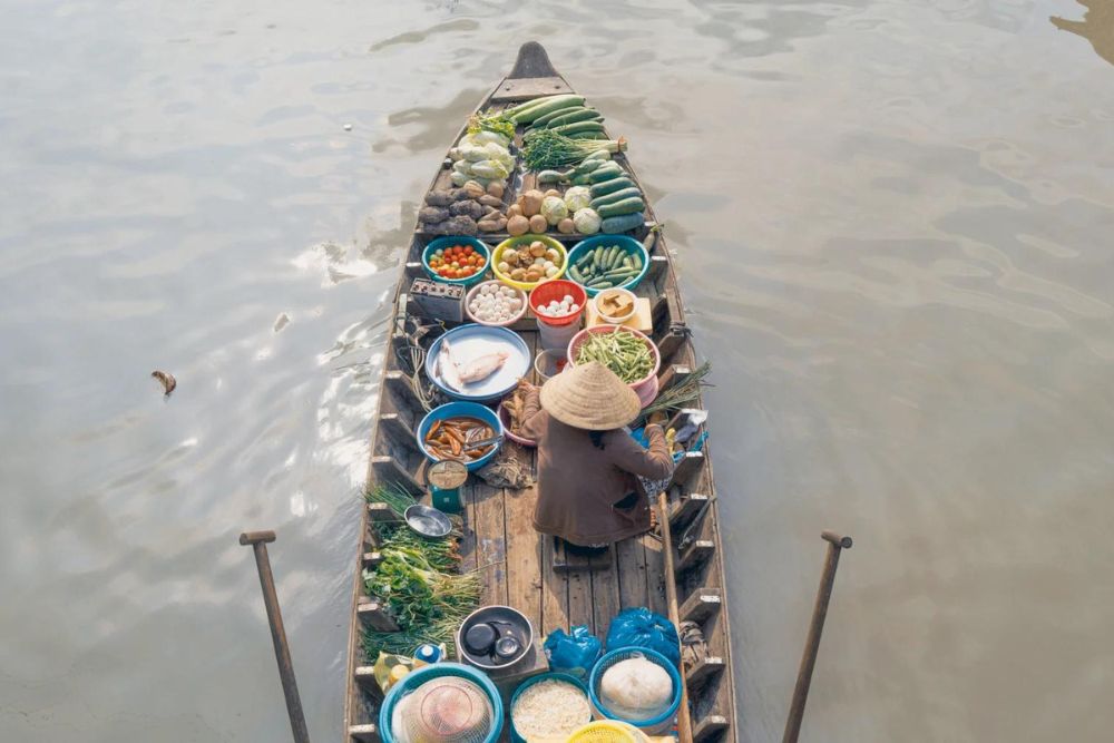 mekong_delta_in_Vietnam (3)